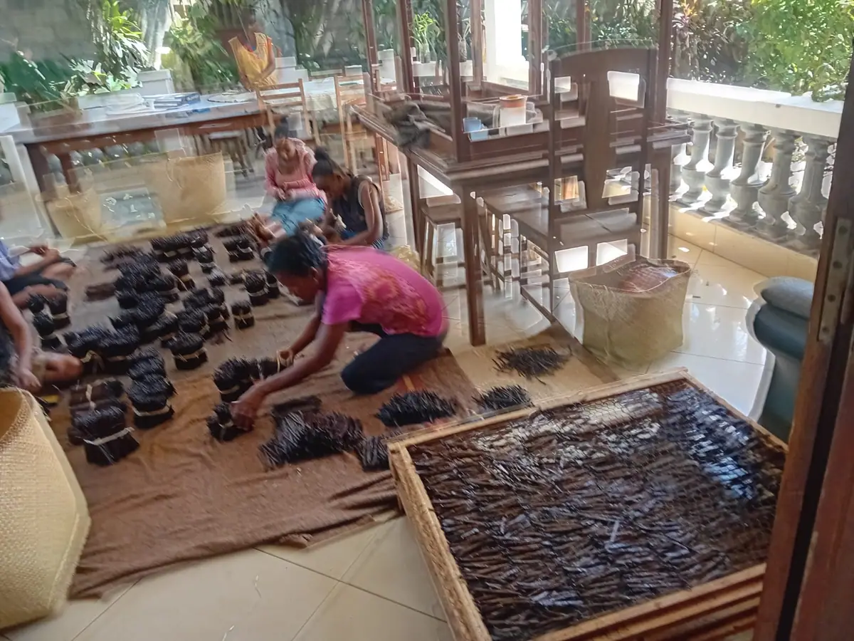 Vanille de Sambava — 3