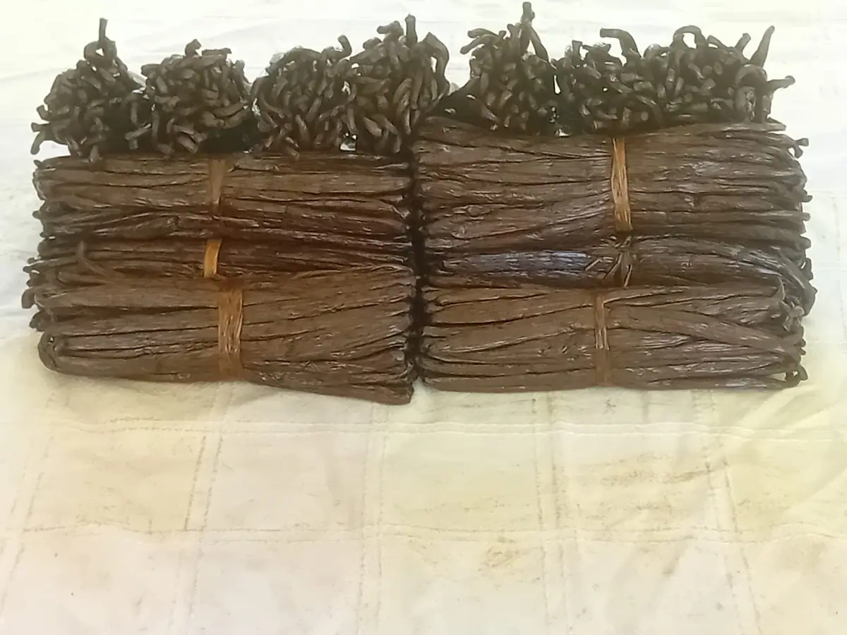 Vanille de Sambava — 6