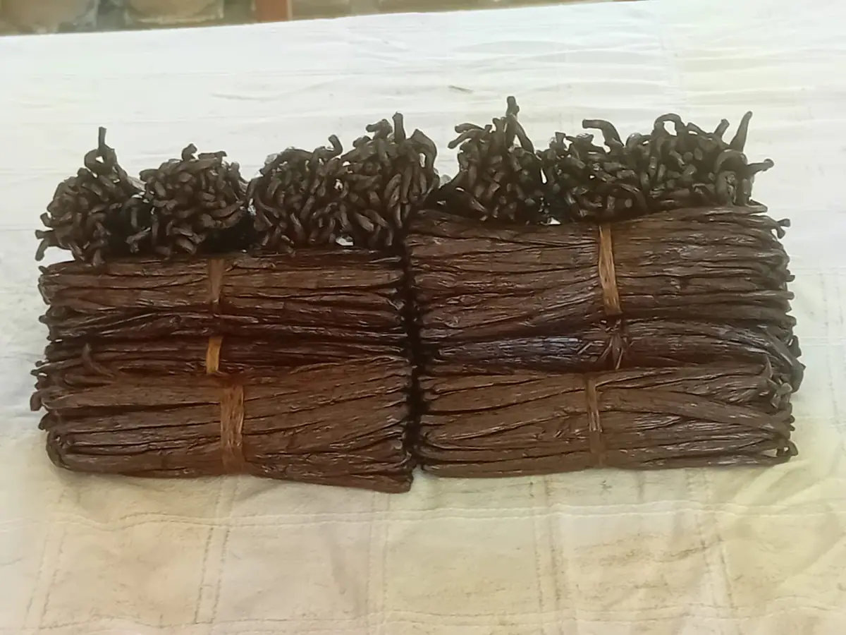 Vanille de Sambava — 8