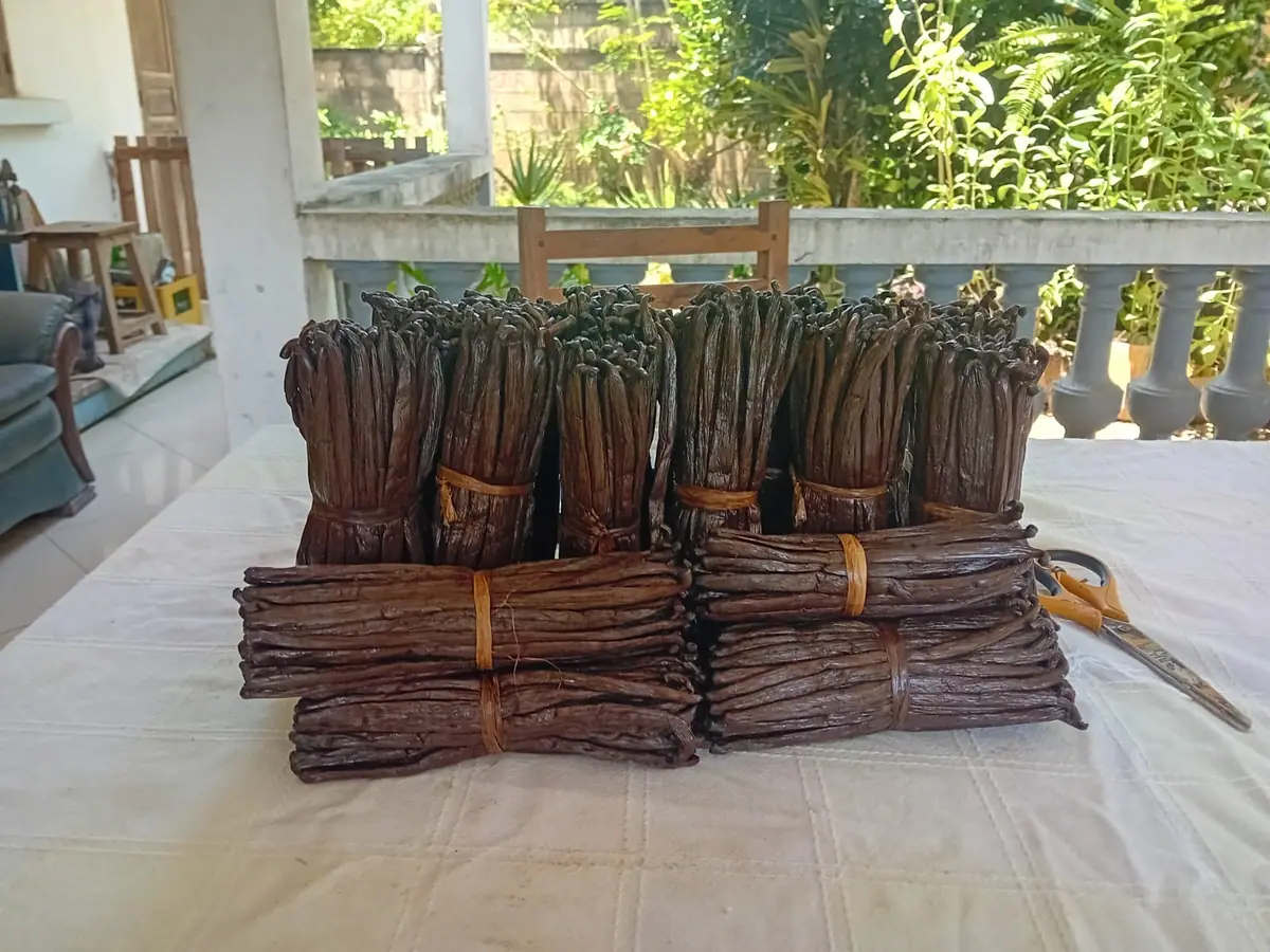 Vanille de Sambava — 14