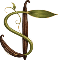 SOAFENO TRADING